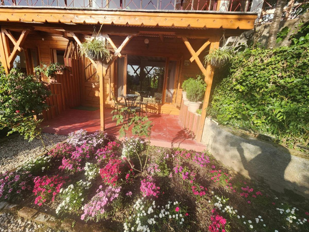 The Chalets Naldehra Simlá Kültér fotó